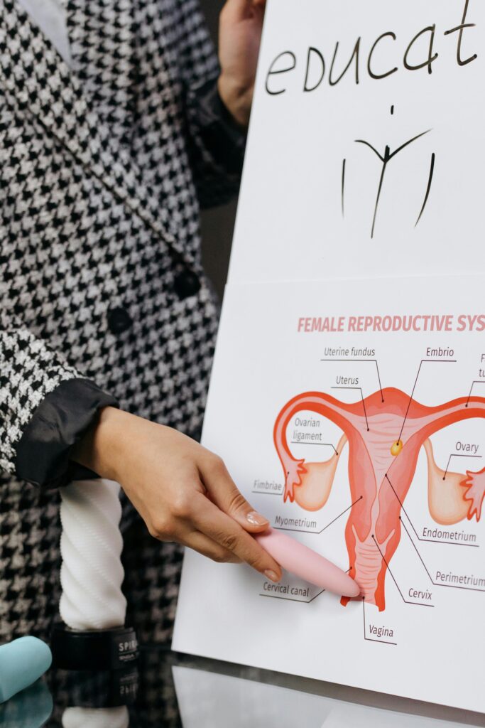 A person presents a detailed diagram of the female reproductive system on a whiteboard.
